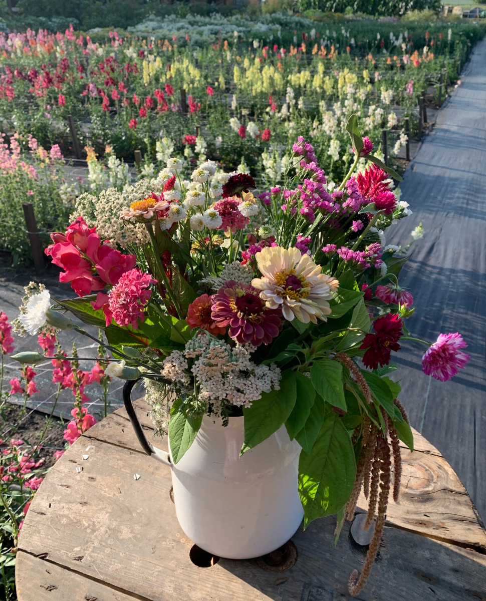 A legacy in full bloom: Reinland flower farm nurtures community